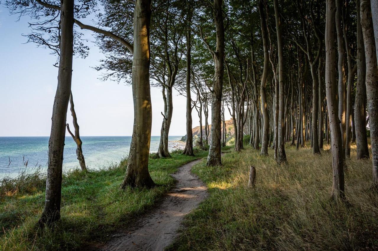 Gemuetliche Ferienresidenz Mit Meerblick Ueber Die Wundervolle Luebecker Bucht ティメンドルファー・シュトラント エクステリア 写真